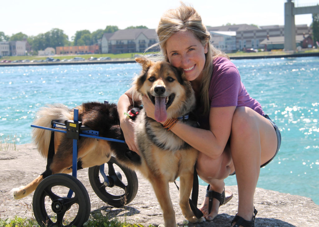 Dog Walkers of The Sophisticated Dog Sarnia Canine Care Services